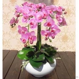 假花批發(fā)供應(yīng)與價(jià)格指南 源頭采購(gòu)與機(jī)械設(shè)備應(yīng)用