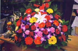 從鮮花用品到機械設(shè)備 多元業(yè)務(wù)的創(chuàng)新融合與市場展示